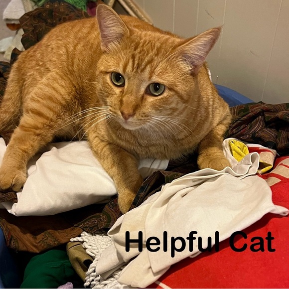 The Cheese Board Deck Recipe Cards 50 Fantastic and Exciting Dishes Meg Quinn - Picture 16 of 16